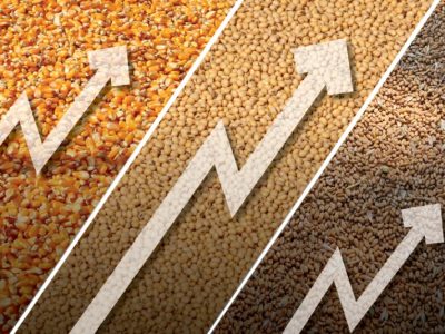 Thị trường nông sản: Giá vẫn duy trì quanh vùng đáy nhưng có tiềm năng phục hồi dần