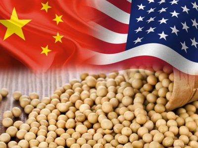 Trung Quốc không nhập khẩu bất kỳ lô đậu tương nào từ Mỹ trong tháng 9