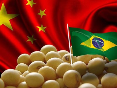 Xuất khẩu đậu tương của BrazilBrazil "soán ngôi" Mỹ, chiếm lĩnh thị trường xuất khẩu đậu tương sang Trung Quốc chiếm lĩnh thị trường Trung Quốc