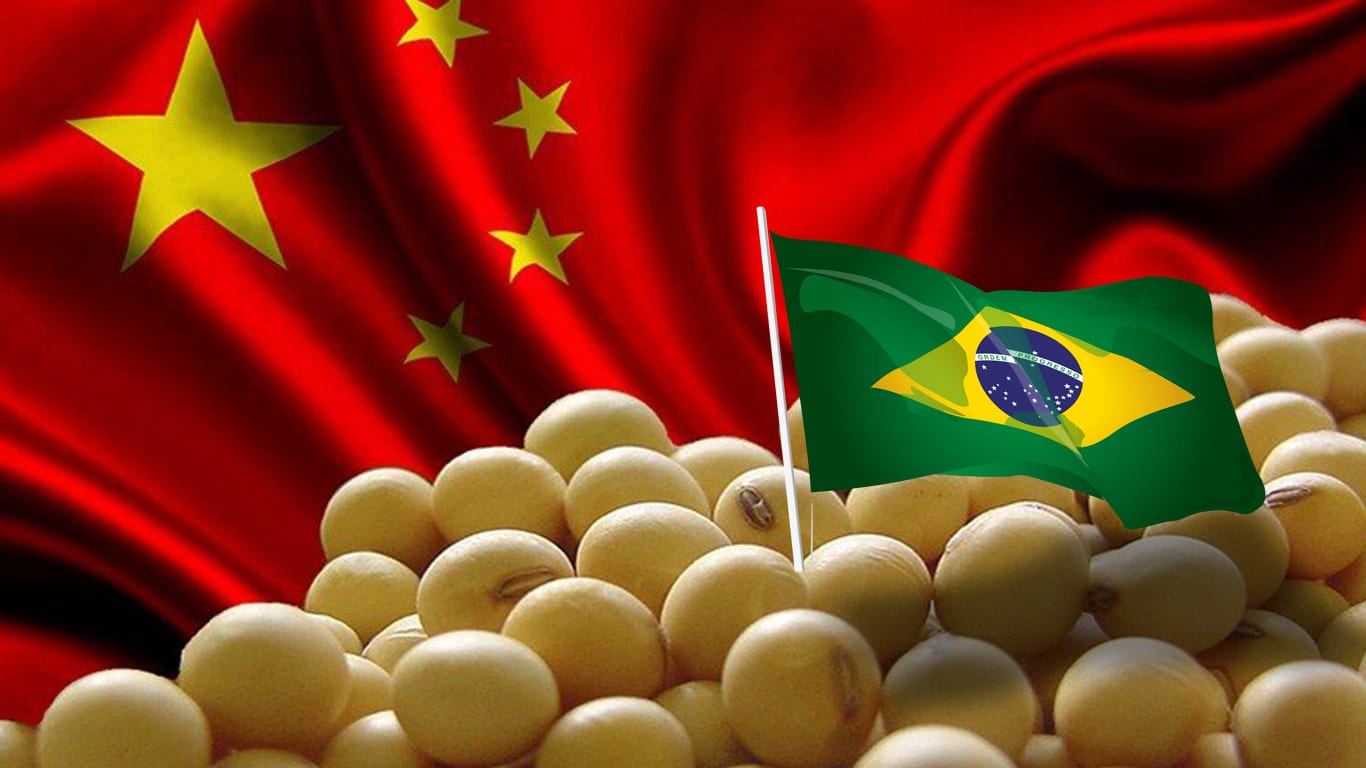 Xuất khẩu đậu tương của BrazilBrazil "soán ngôi" Mỹ, chiếm lĩnh thị trường xuất khẩu đậu tương sang Trung Quốc chiếm lĩnh thị trường Trung Quốc
