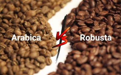 Tình hình thời tiết khác biệt khiến giá hai loại cà phê thế giới phân hóa