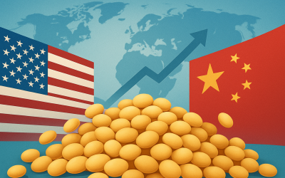 Phân tích Đậu tương 26/11: Giá đậu tương giằng co và biến động hẹp trước kỳ nghỉ lễ