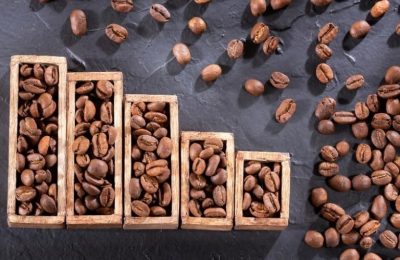 Phân tích Cà phê 17/11: Giá cà phê lao dốc mạnh trước áp lực chính sách thuế và triển vọng nguồn cung tích cực