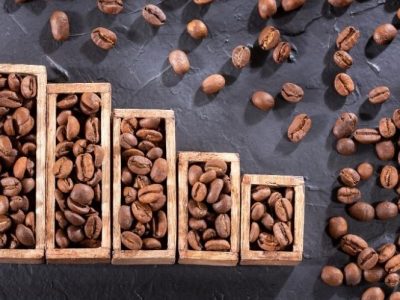 Phân tích Cà phê 17/11: Giá cà phê lao dốc mạnh trước áp lực chính sách thuế và triển vọng nguồn cung tích cực