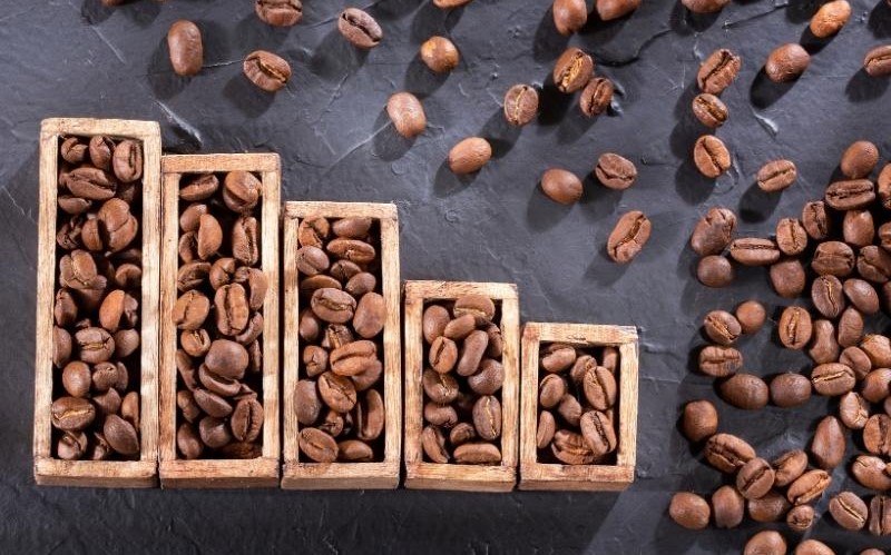 Phân tích Cà phê 17/11: Giá cà phê lao dốc mạnh trước áp lực chính sách thuế và triển vọng nguồn cung tích cực