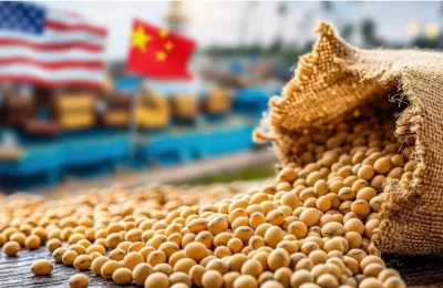 Phân tích Đậu tương 10/11: Thị trường đang trong trạng thái chờ dữ liệu mới