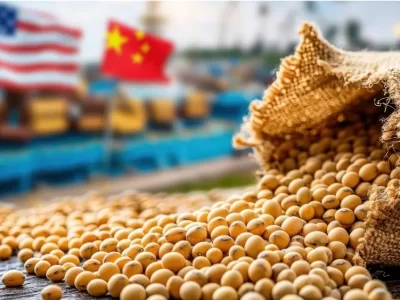 Phân tích Đậu tương 10/11: Thị trường đang trong trạng thái chờ dữ liệu mới