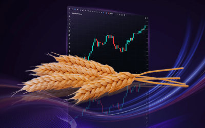 Phân tích Lúa mì 03/11: Lúa mì bật tăng mạnh theo xu hướng giá đậu tương