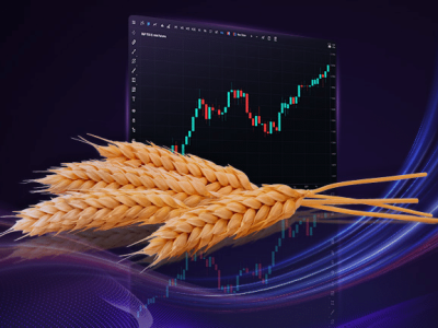 Phân tích Lúa mì 03/11: Lúa mì bật tăng mạnh theo xu hướng giá đậu tương
