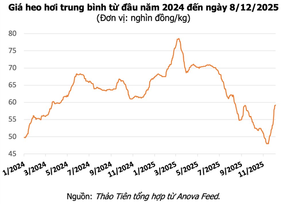 Giá heo hơi trung bình từ đầu năm 2024
