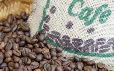 Phân tích Cà phê ngày 16/12: Triển vọng nguồn cung dồi dào đè nặng lên giá cà phê