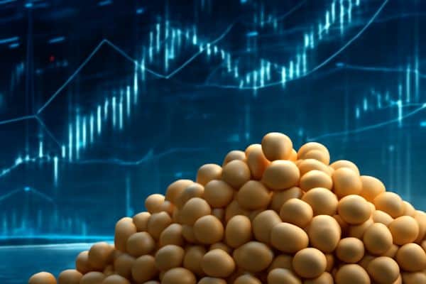 Phân tích Đậu tương 12/12: Giá đậu tương "nhập nhằng" giữa kỳ vọng mua của Trung Quốc và áp lực nguồn cung toàn cầu