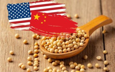 Phân tích Đậu tương ngày 04/12: Tốc độ mua hàng Mỹ của Trung Quốc chậm chạp, giá khó bứt phá