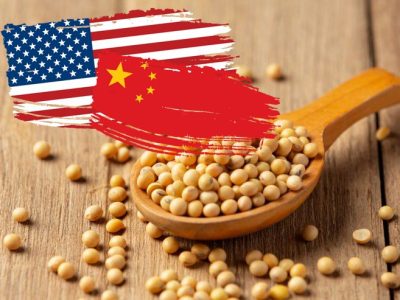 Phân tích Đậu tương ngày 04/12: Tốc độ mua hàng Mỹ của Trung Quốc chậm chạp, giá khó bứt phá