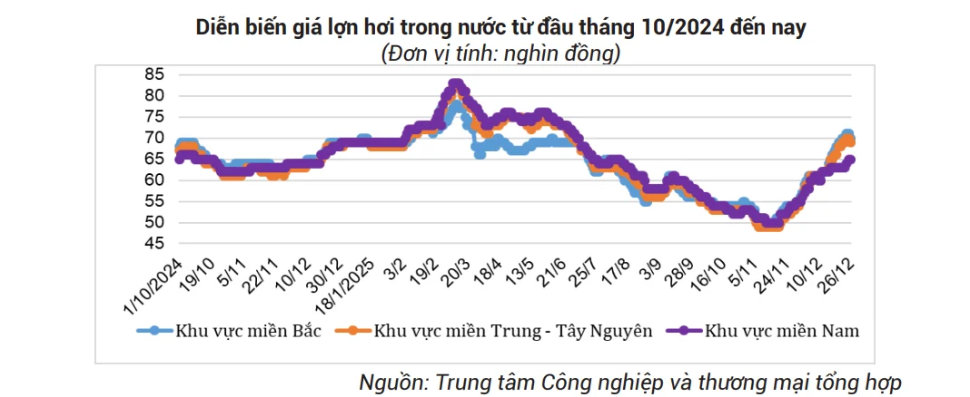 Diễn biến giá lợn hơi tại Việt Nam từ đầu tháng 10/2024-12/2025