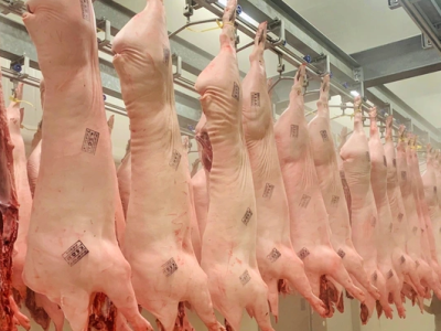 Dự báo giá heo hơi dịp Tết khoảng 70.000-75.000 đồng.kg