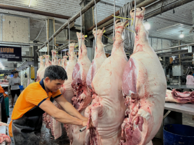 Giá heo hơi 26/01: Cao nhất đạt 80.000 đồng/kg