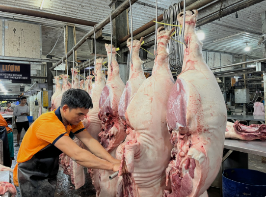 Giá heo hơi 26/01: Cao nhất đạt 80.000 đồng/kg