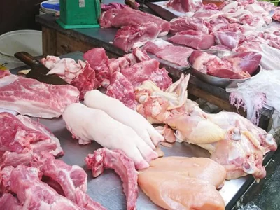 Giá heo hơi ổn định, hướng tới bình ổn thịt heo dịp Tết