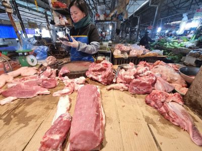 Lý do giá thịt heo tăng mạnh