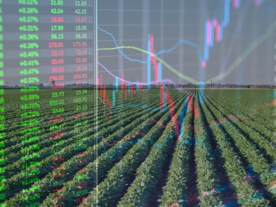 Nhịp phục hồi kỹ thuật giữa bối cảnh nguồn cung toàn cầu dồi dào