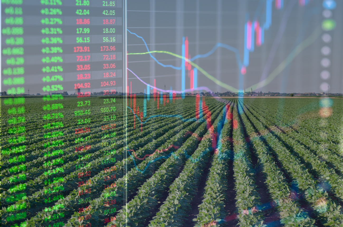 Nhịp phục hồi kỹ thuật giữa bối cảnh nguồn cung toàn cầu dồi dào