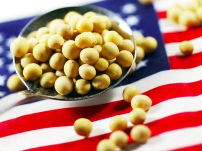 Phân tích Đậu tương ngày 06/01: Giá đậu tương có nhịp hồi kỹ thuật trong bối cảnh cung – cầu chưa rõ ràng