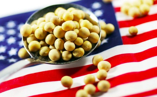 Phân tích Đậu tương ngày 06/01: Giá đậu tương có nhịp hồi kỹ thuật trong bối cảnh cung – cầu chưa rõ ràng