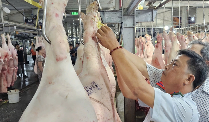 Phát triển TP.HCM thành trung tâm dịch vụ lớn, thí điểm giao dịch thịt heo qua sàn
