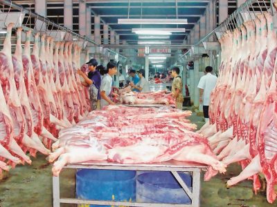 TP.HCM là thị trường tiêu thụ lượng thịt heo lớn trên cả nước.