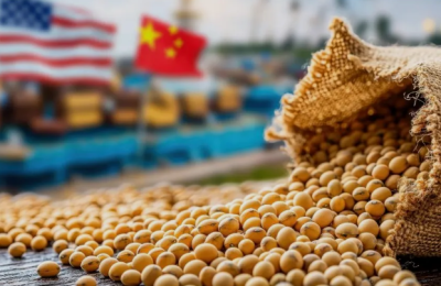 Đậu tương tăng mạnh lên mức cao nhất 2 tháng khi kỳ vọng mua hàng Trung Quốc trở lại