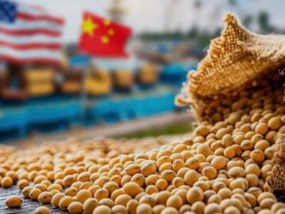Đậu tương tăng mạnh lên mức cao nhất 2 tháng khi kỳ vọng mua hàng Trung Quốc trở lại