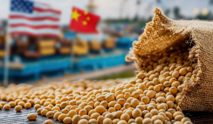 Đậu tương tăng mạnh lên mức cao nhất 2 tháng khi kỳ vọng mua hàng Trung Quốc trở lại