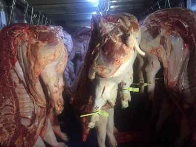 Giá heo hơi 10/02: Tiếp tục giảm nhưng bà nội trợ TP HCM vẫn rụt rè mua thịt heo