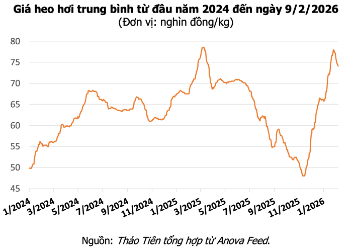 Giá heo hơi 9.2.2026