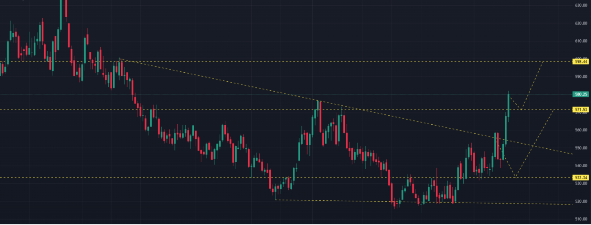 Khung 1D Lúa mì 23.02