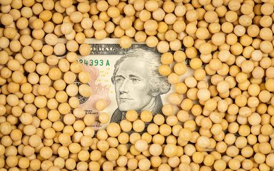 Thuế quan mới làm gia tăng thêm sự bất ổn cho một thị trường đậu tương vốn đã đầy biến động