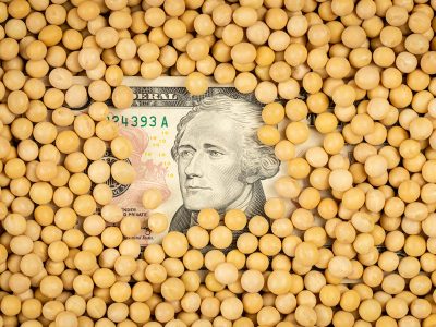 Thuế quan mới làm gia tăng thêm sự bất ổn cho một thị trường đậu tương vốn đã đầy biến động