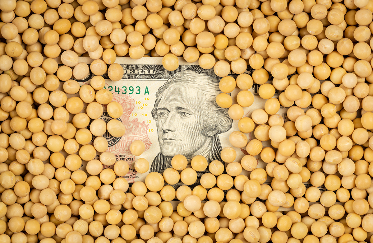 Thuế quan mới làm gia tăng thêm sự bất ổn cho một thị trường đậu tương vốn đã đầy biến động