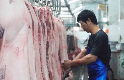 Thành phố Hồ Chí Minh sẽ là địa phương đầu tiên thí điểm đưa thịt heo lên sàn giao dịch