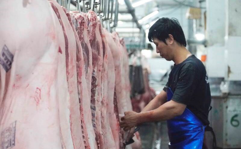 Thành phố Hồ Chí Minh sẽ là địa phương đầu tiên thí điểm đưa thịt heo lên sàn giao dịch