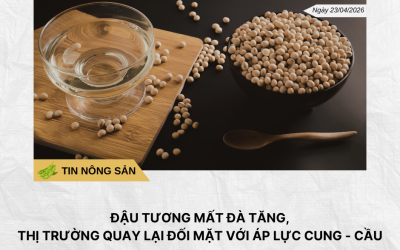 Thị trường đồng “dậy sóng” phiên đầu tuần, giá tăng vọt gần 2% (Bài đăng Facebook) (17)