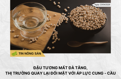 Thị trường đồng “dậy sóng” phiên đầu tuần, giá tăng vọt gần 2% (Bài đăng Facebook) (17)