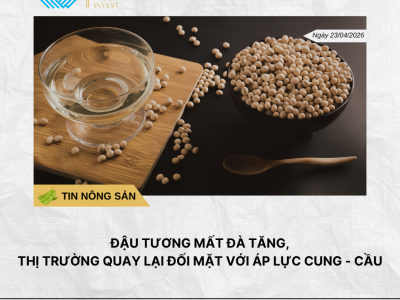 Thị trường đồng “dậy sóng” phiên đầu tuần, giá tăng vọt gần 2% (Bài đăng Facebook) (17)