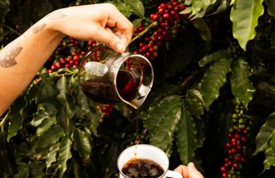 huong-vi-cua-ca-phe-brazil