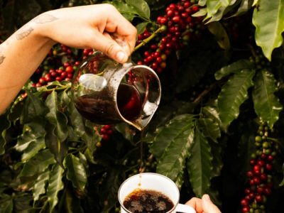 huong-vi-cua-ca-phe-brazil