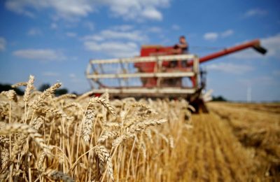 lua-mi-tay-au-1600057056197789369742