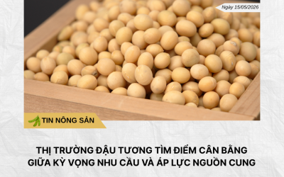 Phân tích hằng ngày (2)