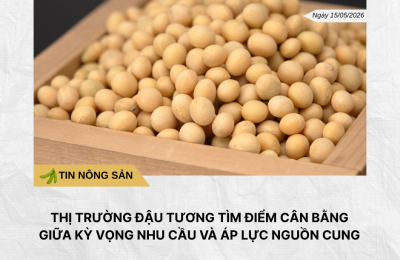 Phân tích hằng ngày (2)