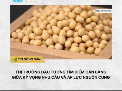 Phân tích hằng ngày (2)